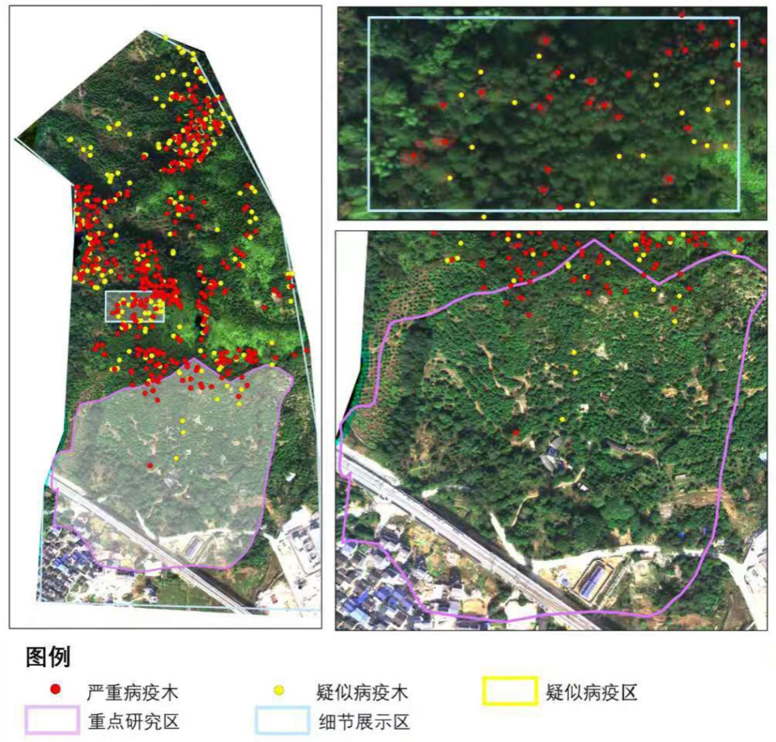 undefined k8¿·¢(Öйú)ÌìÉúÓ®¼Ò¡¤Ò»´¥¼´·¢