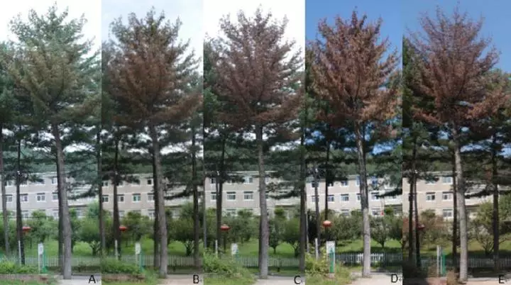 k8����(�й�)����Ӯ�ҡ�һ������