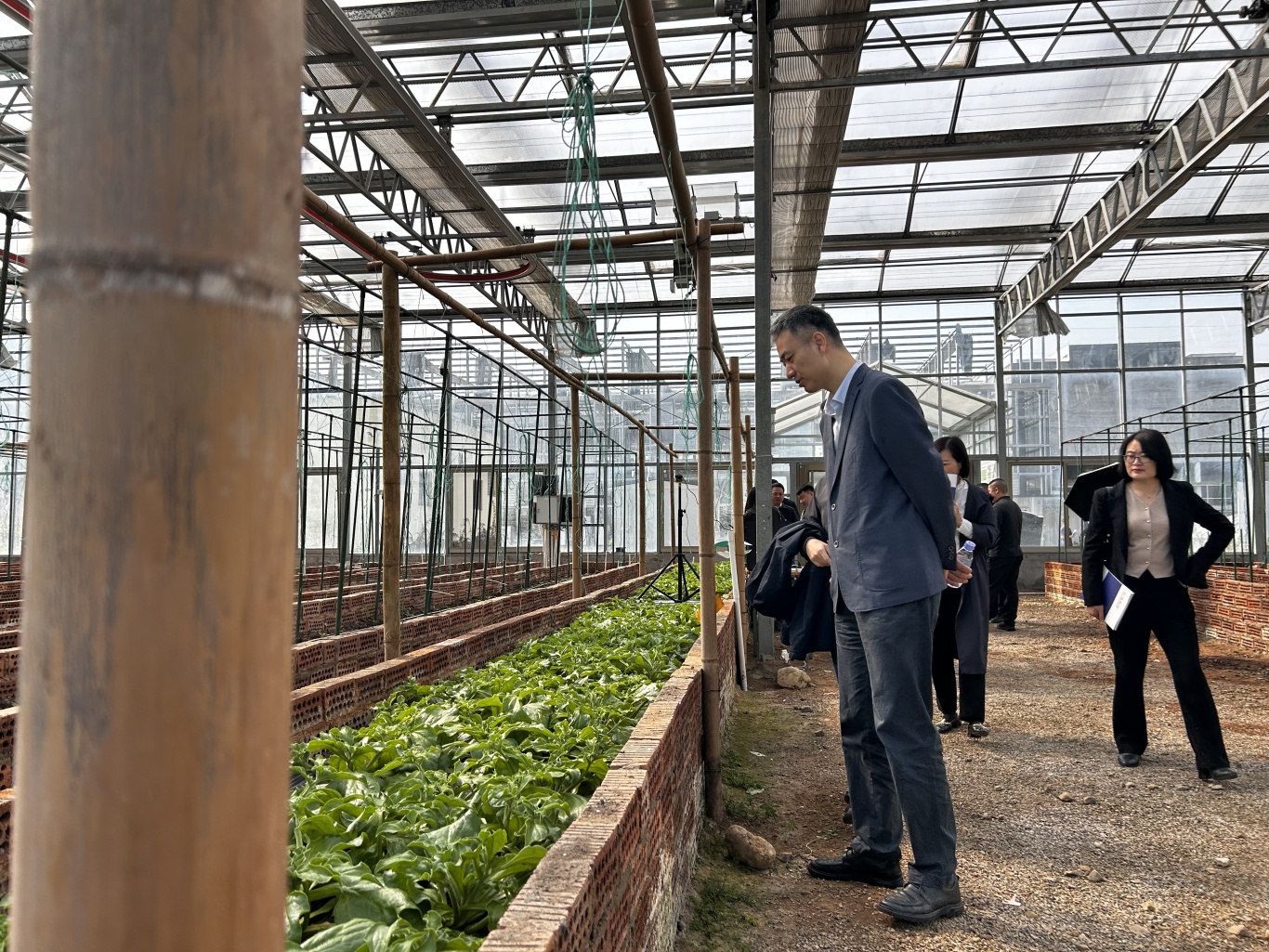 k8����(�й�)����Ӯ�ҡ�һ������